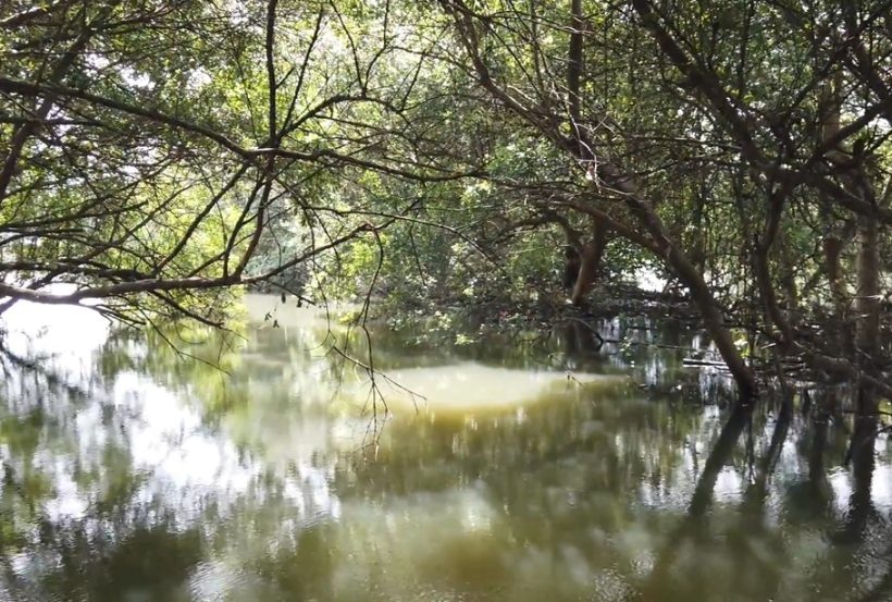 taman wisata angke kapuk