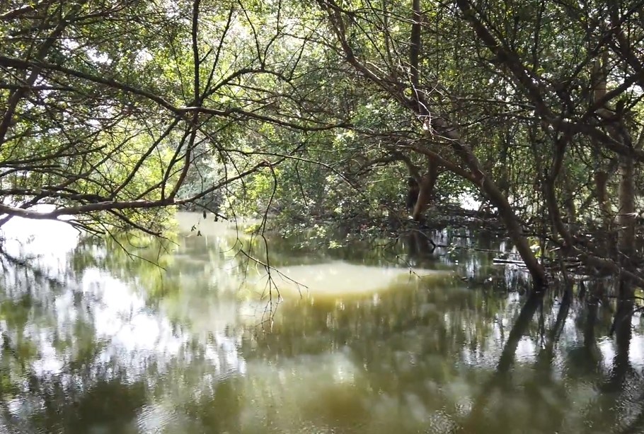 taman wisata angke kapuk